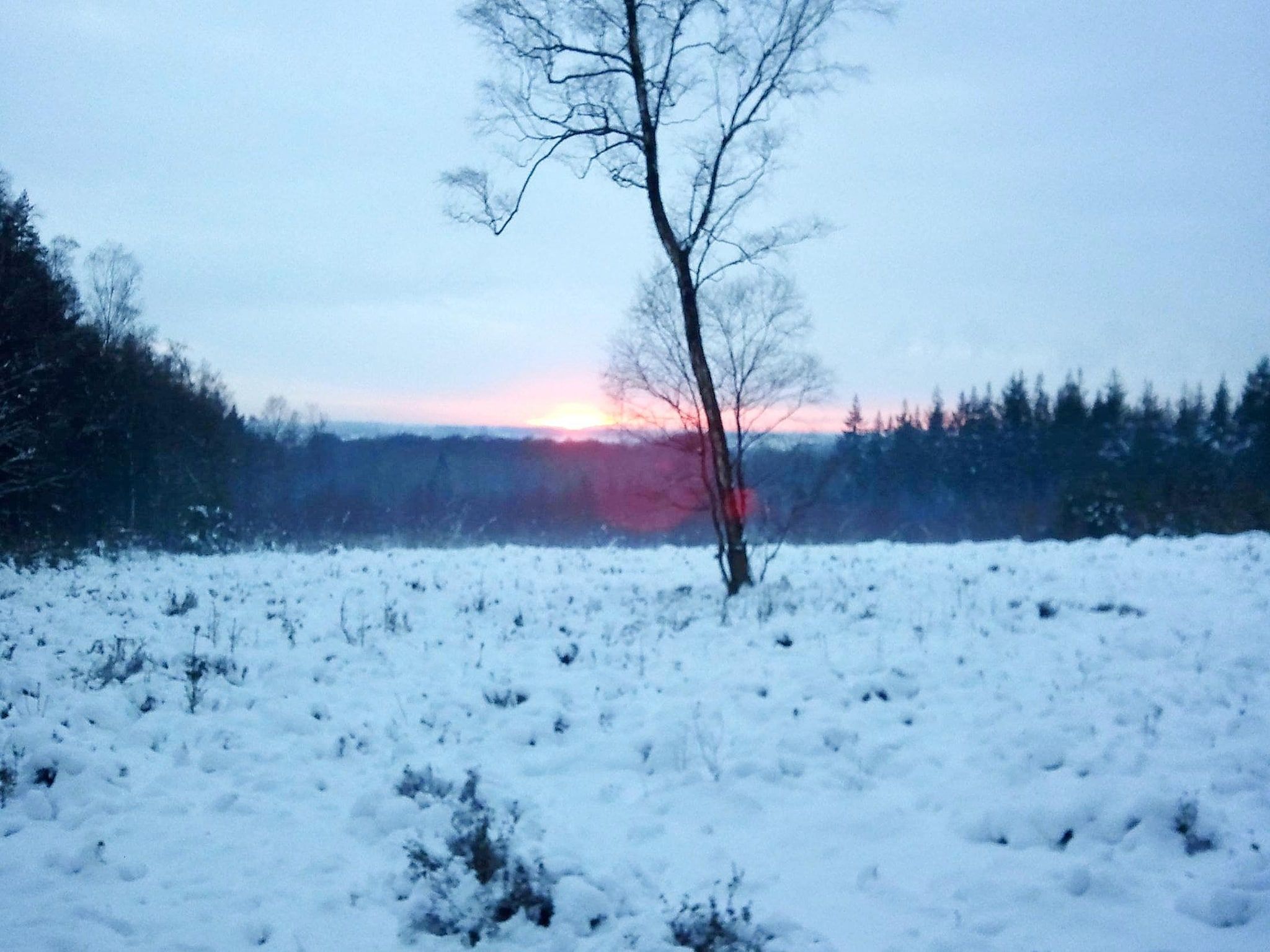 Vakantiepark de Tabaksschuur 2 in Elst - Foto 26 van 26