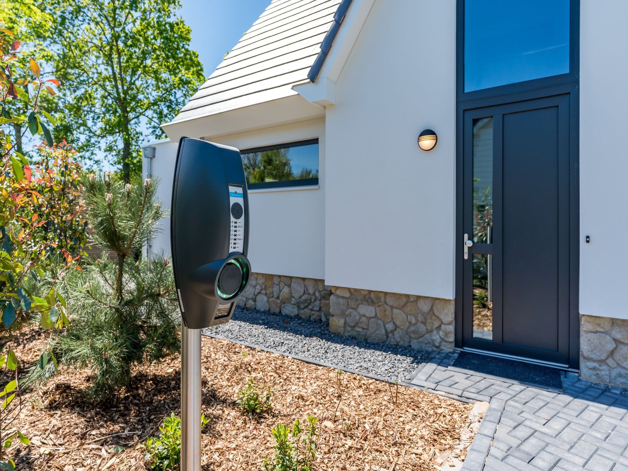 Blauwe Kiekendief in Den Burg - Foto 2 van 24