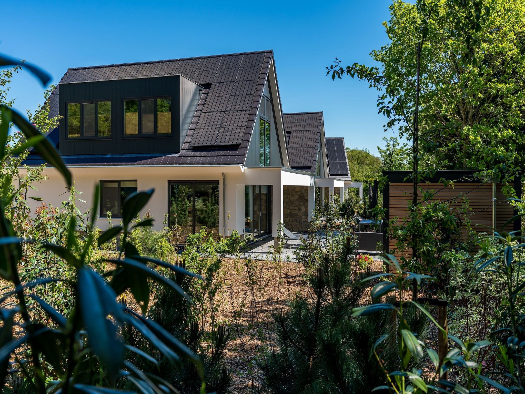 Bruine Kiekendief in Den Burg - Foto 22 van 22